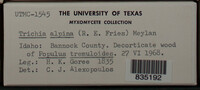Image Associated With the Occurence